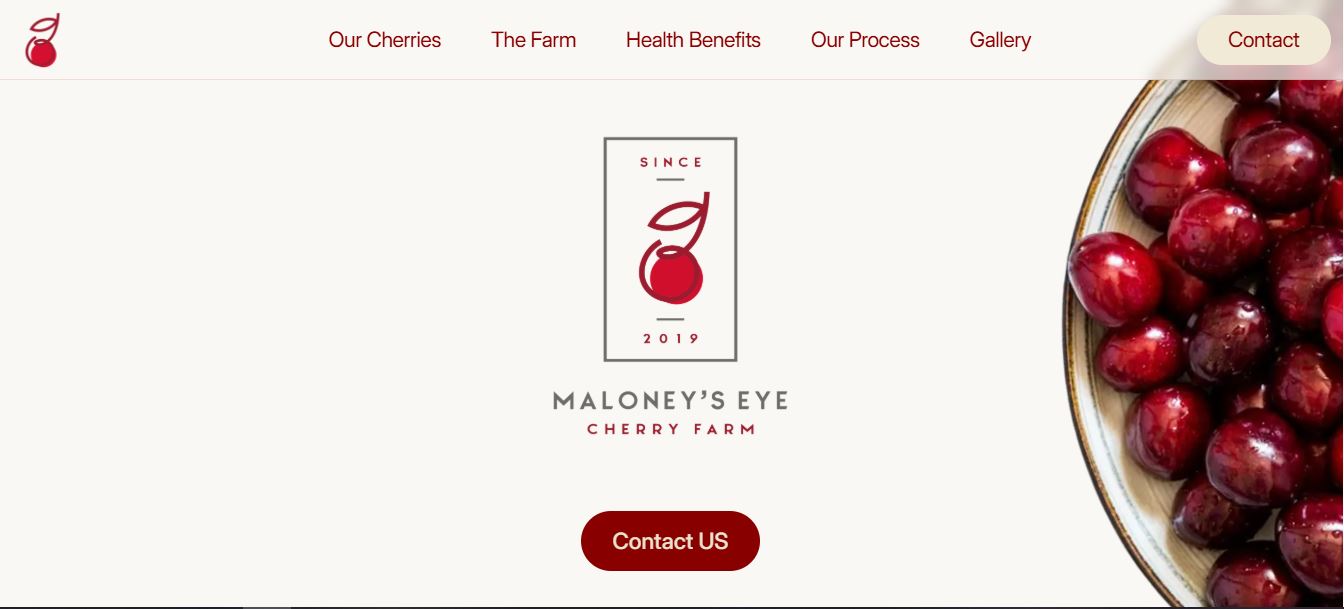 Maloney's Eye